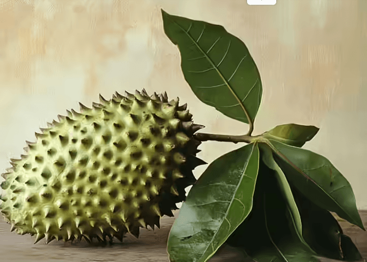 Soursop Leaves Powder